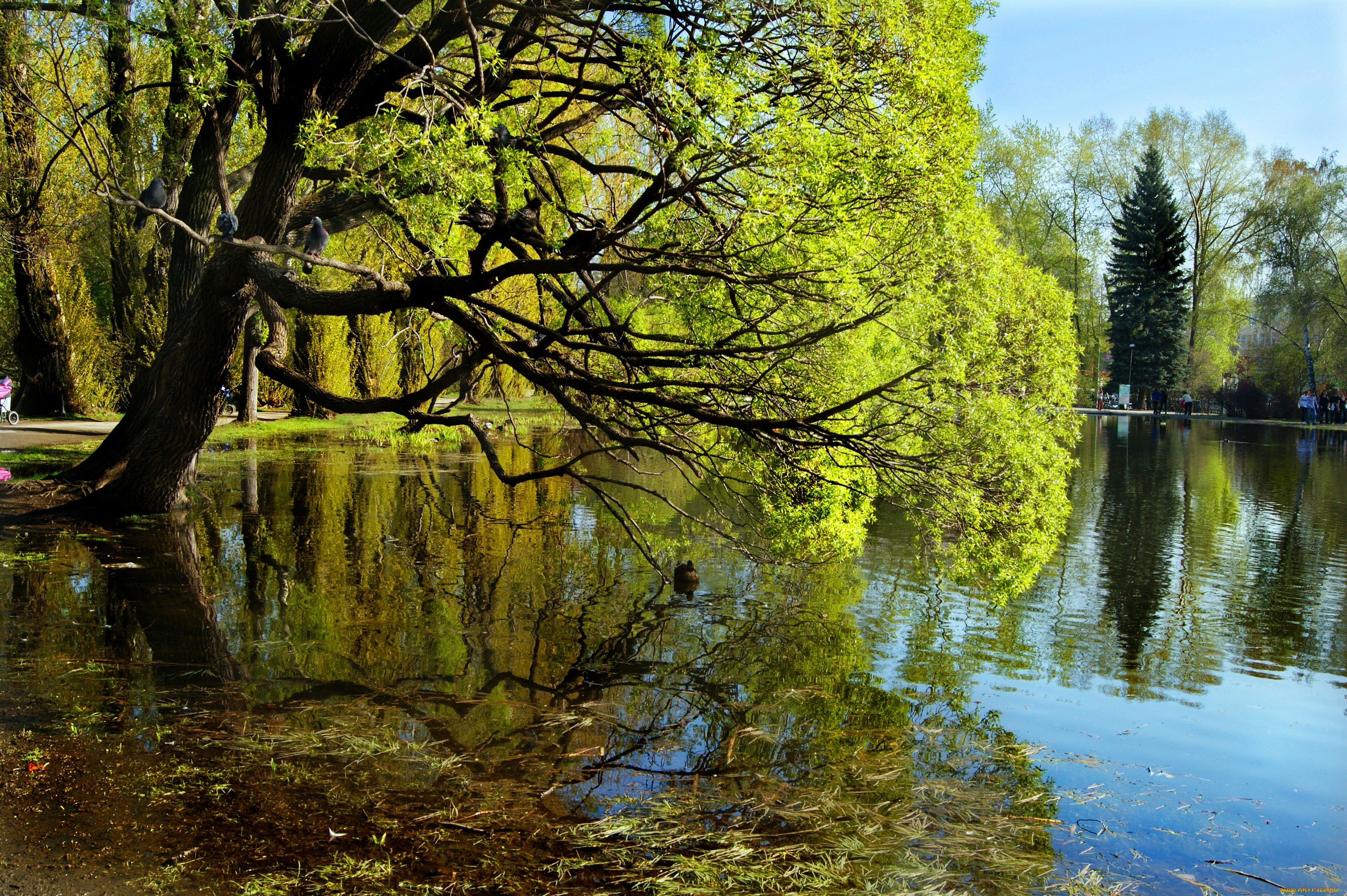 Фото природы екатеринбурга